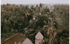 Firefly Eco Lodge